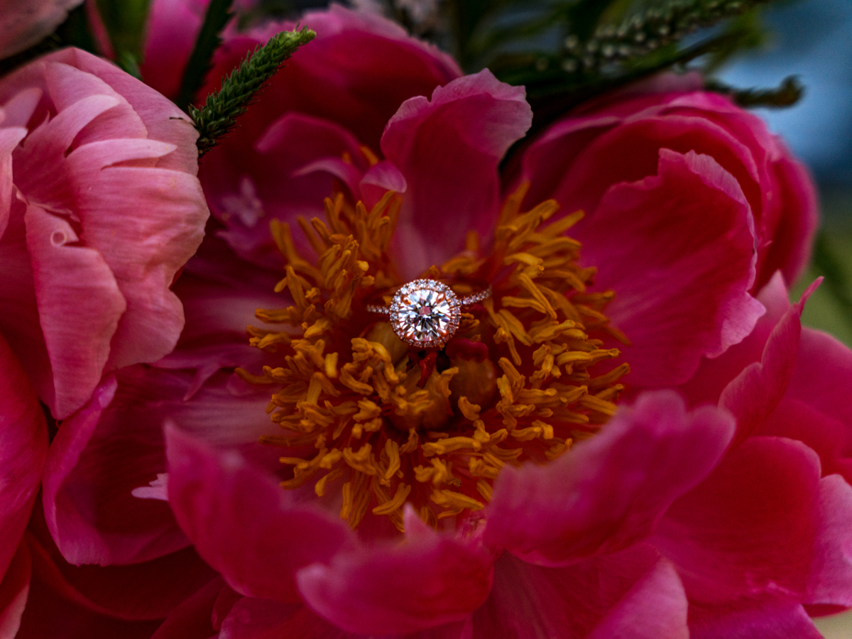 Flower, ring detail