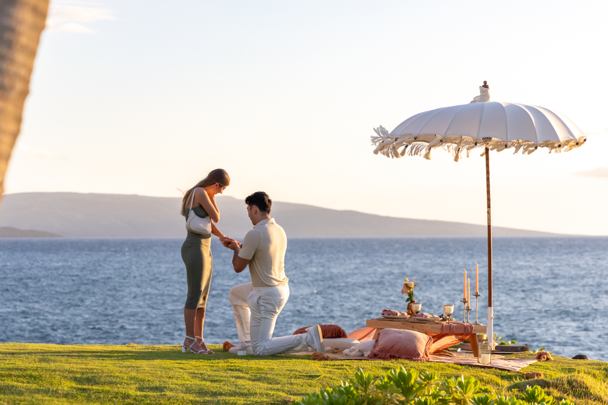 Surprise picnic sunset proposal photographer picnic